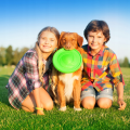 Flyber Frisbee Dwustronny Latający Spodek dla Psa Zabawka Treningowa 22cm Zielony