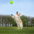 Flyber Frisbee Dwustronny Latający Spodek dla Psa Zabawka Treningowa 22cm Zielony