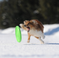Flyber Frisbee Dwustronny Latający Spodek dla Psa Zabawka Treningowa 22cm Zielony