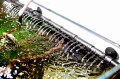 Aquael Hypermax LINK 4500 Filtr Zewnętrzny Do Akwarium 200-1500l 4500l/h + GRZAŁKI 2x150W