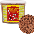 Tropical KOI&GOLDFISH COLOUR STICKS 5l/430g - pokarm dla ryb hodowanych w oczku wodnym