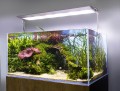 AQUAEL Ultra Slim 60 Belka LED 5 Trybów 60W 599–1054mm 6200lm