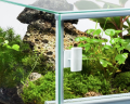 Diversa Terrarium Szklane 120x40x50cm 6mm 240l z Wentylacją