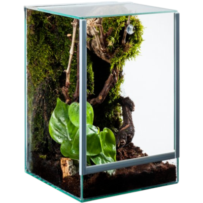 Diversa Terrarium Szklane Pająk z Wentylacją 20x20x30 12l 3mm