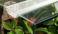 Diversa TerraSet Forest 45 Zestaw Terrarium z Wyposażeniem 45x33x45cm