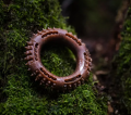Ecomfy Wytrzymała Zabawka dla Psa WOODY RING Aport Ringo 13cm
