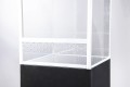Diversa Terrarium Szklane Pająk NEW z Wentylacją 15x15x20 4,5l 3mm 131052