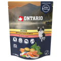 Ontario Monobiałkowa Karma Mokra dla Psa Saszetka Łosoś z Warzywami 300g