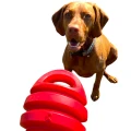 big_filtry-do-fontann-catit-2-szt-op-PhotoRoom (2).png