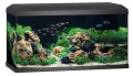 Juwel Primo 110l 2.0 Kompletny Zestaw Akwarium Czarne 81x36x45cm