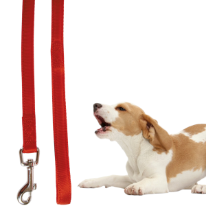 Zolux Cushon Smycz Spacerowa Taśma 15mm 120cm CZERWONA