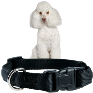 Zolux Cushion Obroża dla Psów Średnich Ras rozm. M 20mm 36-52cm Czarna