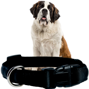 Zolux Cushion Obroża dla Psów Dużych Ras rozm. L 25mm 43-64cm Czarna