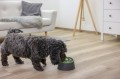 Kerbl Kula na Przysmaki z Miską i Matą do Lizania Multifeerder 3w1 Interaktywne Karmienie 14x19cm