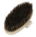 Magic Brush Szczotka dla Konia ze Szlufką do Czyszczenia Twarde Włosie 14x7cm