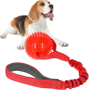 Kerbl Bungee Zabawka dla Psa Piłka na Taśmie z Amortyzatorem Czerwona 9cm