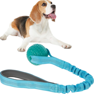 Kerbl Bungee Zabawka dla Psa Piłka na Taśmie z Amortyzatorem Niebieska 9cm