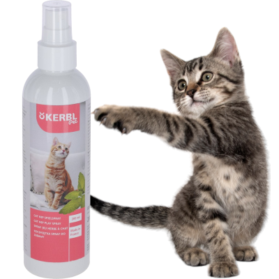 Kerbl Kocimiętka w Sprayu dla Kotów Zachęca do Zabawy 200ml