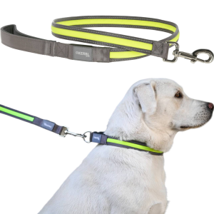 Kerbl Pet Light & Reflex Solidna Smycz Podświetlana LED dla Psa 120cm 25mm