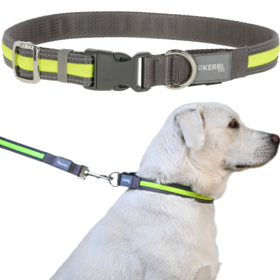 Kerbl Pet Light & Reflex Solidna Obroża Podświetlana LED dla Psa 35-50cm 20mm