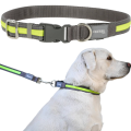 Kerbl Pet Light & Reflex Solidna Obroża Podświetlana LED dla Psa 45-65cm 25mm