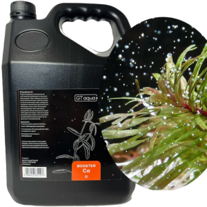 GT AQUA BOOSTER CA Nawóz Wapniowy do Akwarium Bańka 5l