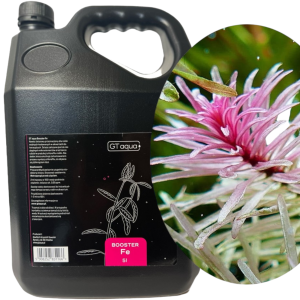 GT AQUA BOOSTER FE Nawóz Żelazowy do Akwarium Bańka 5l