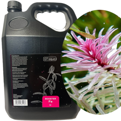 GT AQUA BOOSTER FE Nawóz Żelazowy do Akwarium Bańka 5l