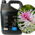 GT AQUA BOOSTER MG Nawóz Magnezowy do Akwarium Bańka 5l