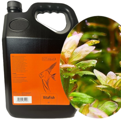 GT AQUA VITA FISH Witaminy dla Ryb Bańka 5l