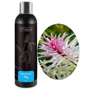 GT AQUA BOOSTER MG 200ML Nawóz Magnezowy do Akwarium