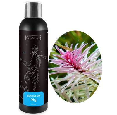 GT AQUA BOOSTER MG 200ML Nawóz Magnezowy do Akwarium