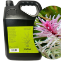 GT AQUA VitaPlant Nawóz do Roślin Wodnych 5l