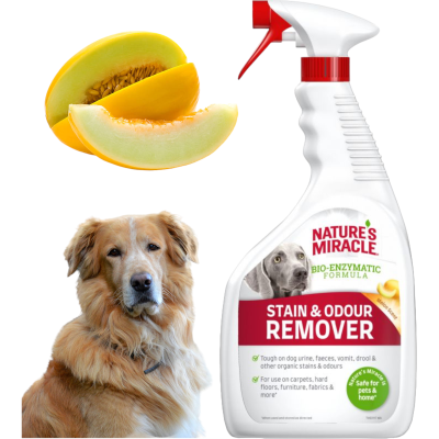 NATURE'S MIRACLE STAIN & ODOUR REMOVER DOG MELON Środek do Usuwania Zabrudzeń po Psach Zapach Melona 946ml