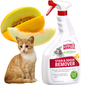 NATURE'S MIRACLE STAIN&ODOUR REMOVER CAT Środek do Usuwania Zabrudzeń po Kotach Zapach Melona 946ml