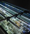 AQUAEL GLOSSY ST 120 Akwarium Szare 260L 120x40x63cm Zestaw Safe Tank Day&Night