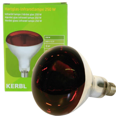 Kerbl Żarówka Promiennik Podczerwieni 150W Czerwona do Hodowli Trzody Drobiu Odchowalnika