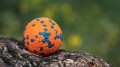 Aqua Nova POLYBALL-STRONG-7CM-L Super Mocna Wytrzymała Piłka dla Psa 7cm