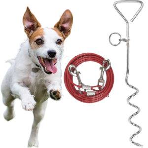 Spirala Wkręt do Mocowania Palowania z Linką dla Psa