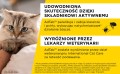 ELANCO Adtab Skuteczna Tabletka do Rozgryzania i Żucia na Kleszcze Pchły Pasożyty dla Kota 0,5-2kg