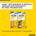 ELANCO Adtab Skuteczna Tabletka do Rozgryzania i Żucia na Kleszcze Pchły Pasożyty dla Kota 0,5-2kg