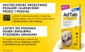 ELANCO Adtab Skuteczna Tabletka do Rozgryzania i Żucia na Kleszcze Pchły Pasożyty dla Psa 112,5mg 2,5-5,5kg