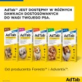 ELANCO Adtab Skuteczna Tabletka do Rozgryzania i Żucia na Kleszcze Pchły Pasożyty dla Psa 225mg 5,5-11kg