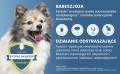 ELANCO Foresto Skuteczna Obroża Przeciw Pchłom i Kleszczom dla Kotów i Małych Psów do 8kg 38cm Działa do 8 Miesięcy