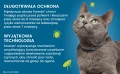 ELANCO Foresto Skuteczna Obroża Przeciw Pchłom i Kleszczom dla Kotów i Małych Psów do 8kg 38cm Działa do 8 Miesięcy