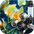 Zestaw CO2 Do Akwarium Aquario BLUE Professional Z BUTLĄ 8L 2.0