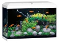 Juwel Primo 70l 2.0 Kompletny Zestaw Akwarium Białe 61x31x44cm