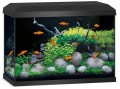 Juwel Primo 70l 2.0 Kompletny Zestaw Akwarium Czarne 61x31x44cm