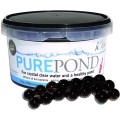 Evolution Aqua PURE Pond Kulki Czysta Woda w Oczku Wodnym Bakterie 500ml