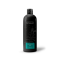GT AQUA BOOSTER P 500ML Nawóz Fosforowy do Akwarium